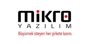 ERP-Muhasebe Programı Entegrasyonları mikro yazlım
