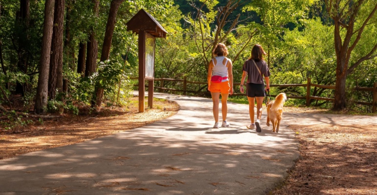 Evcil Hayvan Gezdirme Hizmetleri