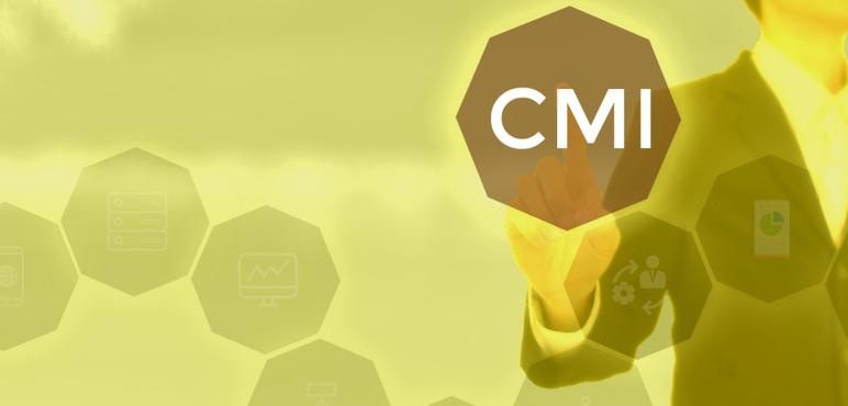 Content Marketing Institute