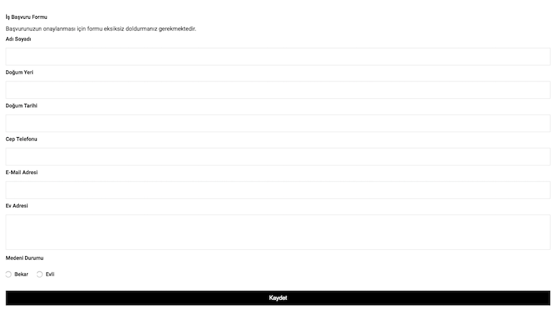  Dinamik Form ile oluşturulmuş örnek bir iş başvuru formu.