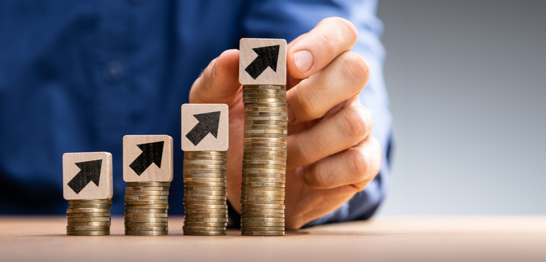 Gerekli Olan Sermaye