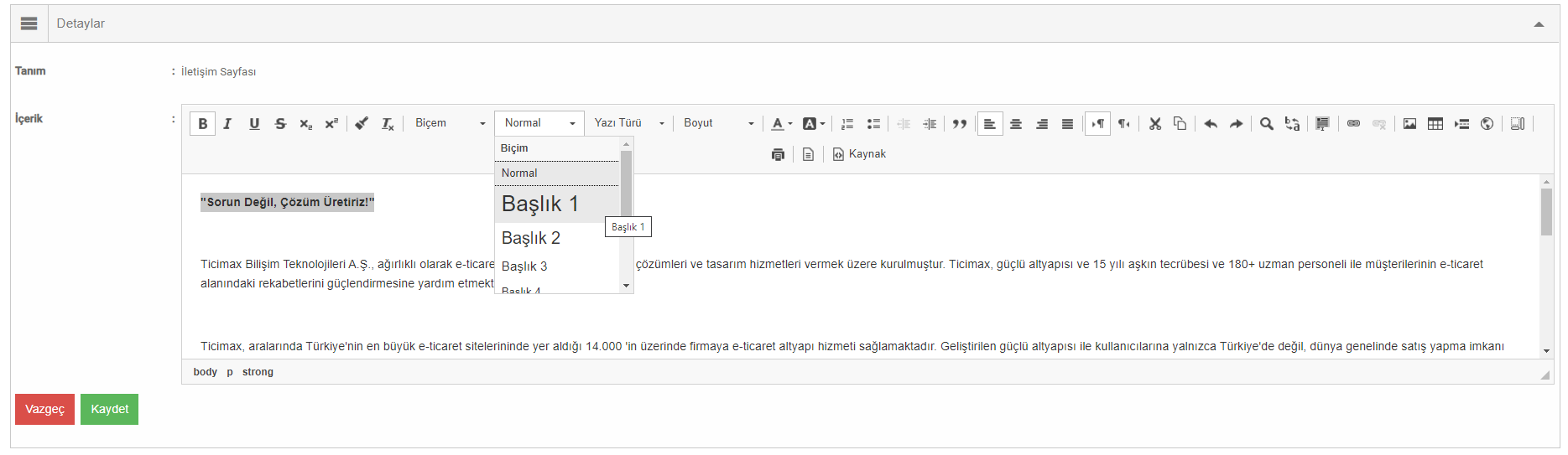 H (Heading Tags) Etiketleri