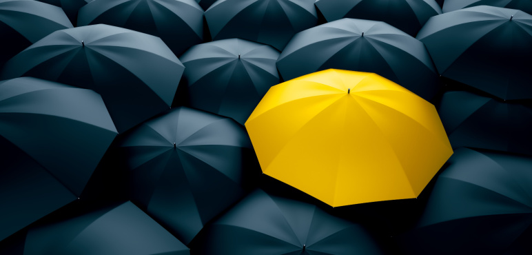 Kavramsal Farklılıklar