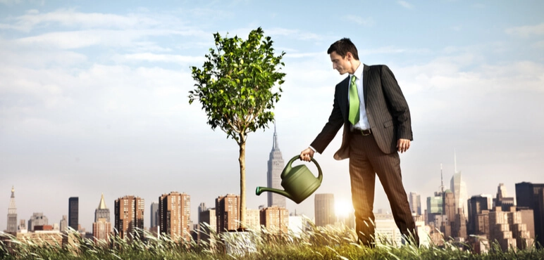 Melek Yatırımcı Önemli Özellikleri