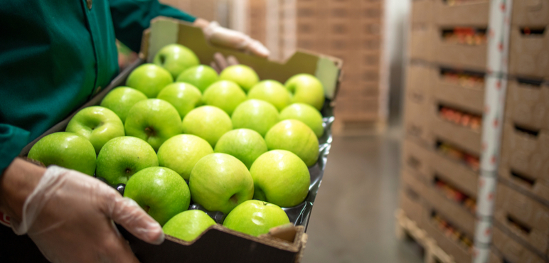 Türkiye’den İtalya’ya Mikro İhracat