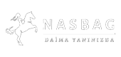 Nas Bag Logo