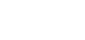 Salomon Logo