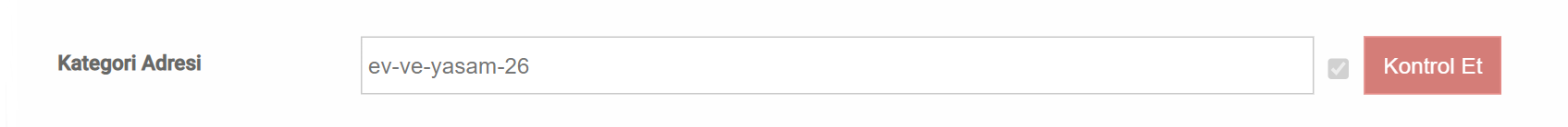 Özel URL Rewrite Uygulaması