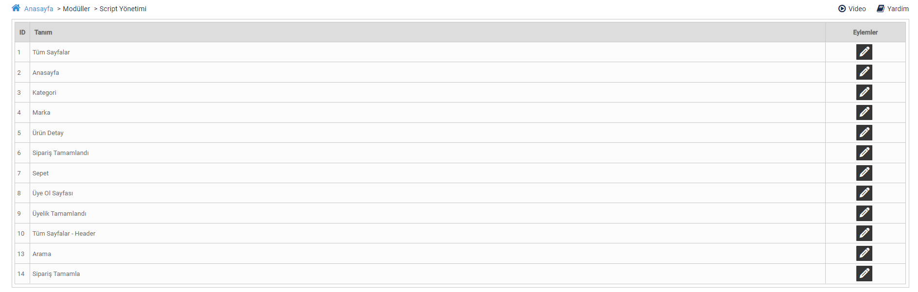 Script Yönetimi (head etiketleri Yönetimi)