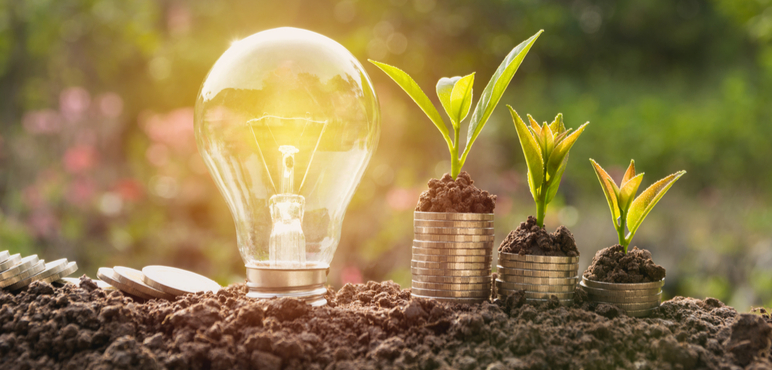 Yeşil Pazarlama (Green Marketing) Nedir? Örnekleri Nelerdir?