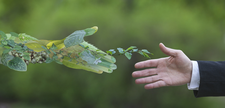 Yeşil Pazarlama (Green Marketing) Çevreye Katkısı