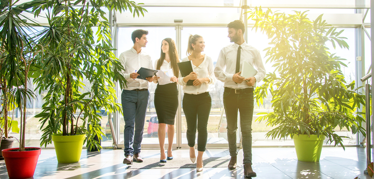 Yeşil Pazarlama (Green Marketing) Pazarlama Maaliyeti