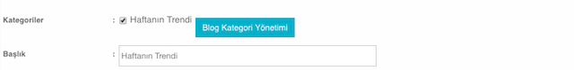 Blog Title Ekleme